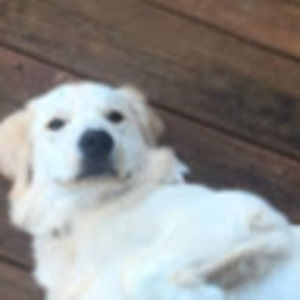 Meet your Posher, Jack